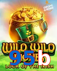 95b